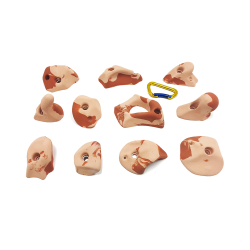 osmosis climbing socket lot snow m