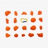pack-micro-insect pack-micro-insect